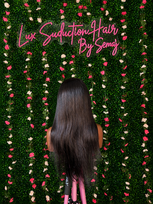 Jet Black Straight Wig (24”)